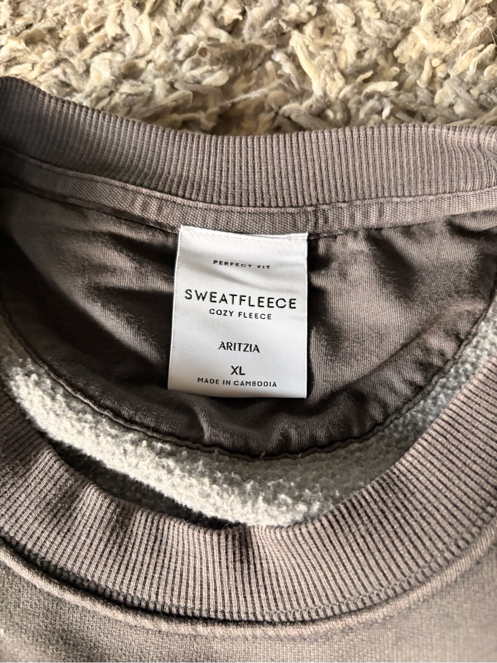 Aritzia Sweatshirt